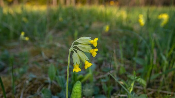uploaded-image-veri-analitigi-ve-yapay-zeka-uygulamalari-1696674851292