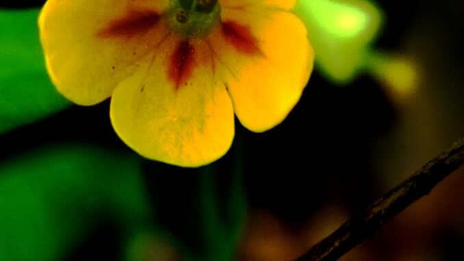 uploaded-image-veri-gizliligi-ve-kisisel-verilerin-korunmasi-1696674843111